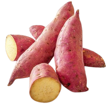 BATATA PALANCA 100% NATURAL
